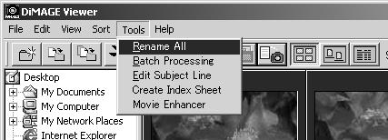 RENAMING SINGLE FILES Single files can be renamed in the thumbnail, icon, or list displays (p. 16).
