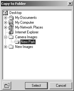 To deselect an image, click on the thumbnail or icon a second time while holding the control key (Windows) or command key (Macintosh).