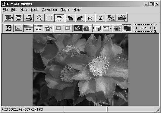 CONTROLLING THE IMAGE DISPLAY Fit-to-window button Normally, an image is displayed based on its size and resolution.