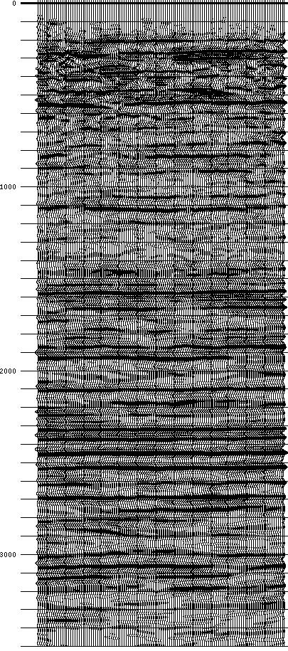 Final migrated stack of 2 Hz vertical Fig. 12.