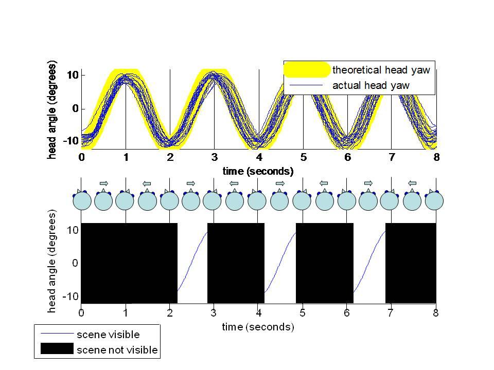 Figure 5.1: Head yaw and scene visibility. The top part of the diagram shows specified and actual head yaw with a head frequency of 0.5 Hz and a head-yaw amplitude of ±11 from straight ahead.