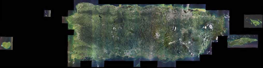 Areas of Puerto Rico affected by Hypogeoccocus pungens Puerto Rico Archipelago N Culebra Island Desecheo Island Mona