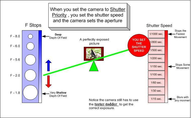 Choosing and The and 6 Another mode you will find on your camera is the Shutter Priority setting. This works very much like the aperture priority in the last example.
