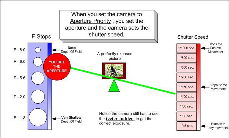 Choosing and The and 5 One of your camera operating modes is call Priority.