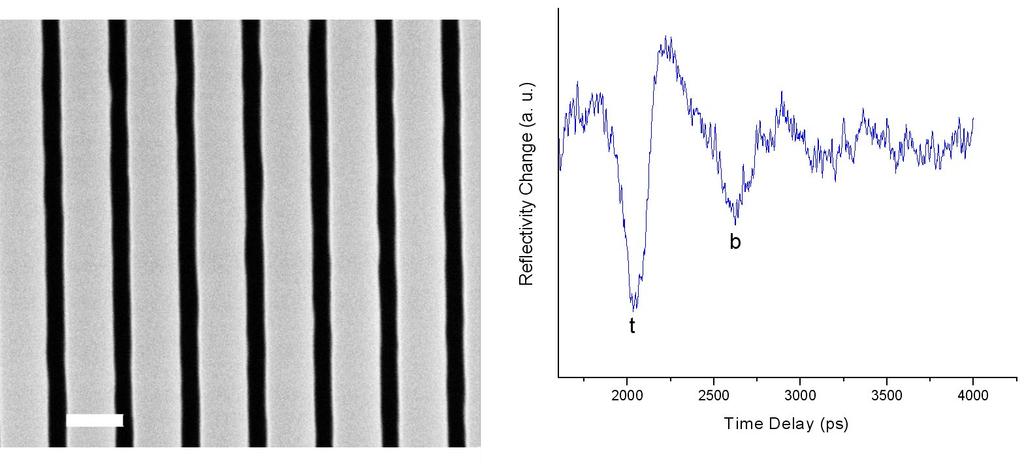 Figure 5. Change in optical reflectivity as a function of probe pulse time delay for sample 1. See text for description of echoes a-d.