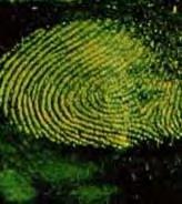 DCS 4 fingerprint capture