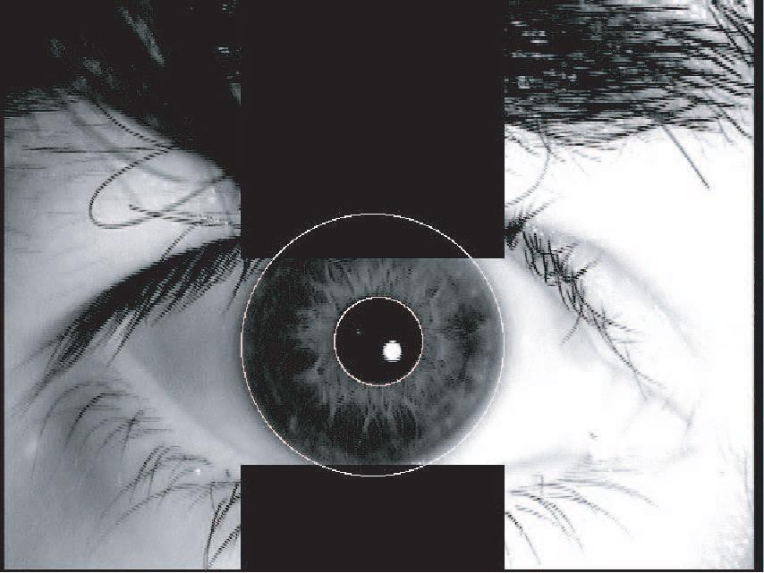 Index Terms Biometrics, image processing, pattern recognition, iris recognition, time separation I.