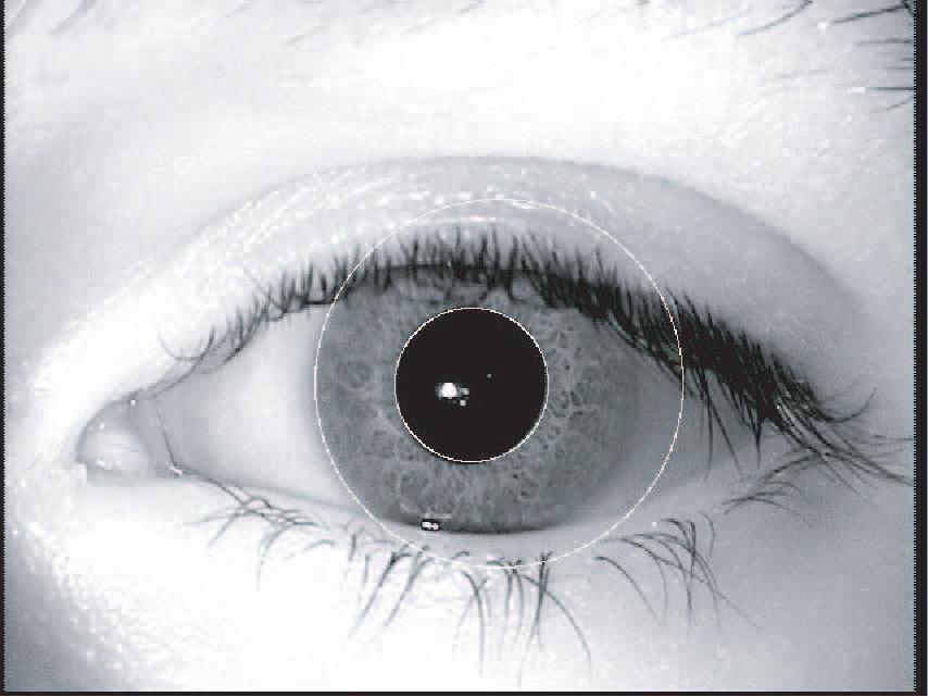having 4 users in the Biosec database and 8 users in the BiosecurID database. Glasses were removed for the acquisition, while the use of contact lenses was allowed.