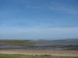 Northam Burrows, lies within an Area of Outstanding Natural Beauty and has been designated SSSI status.