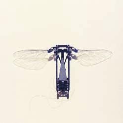 Yet a colony of robotic bees imposes a huge number of technological challenges.