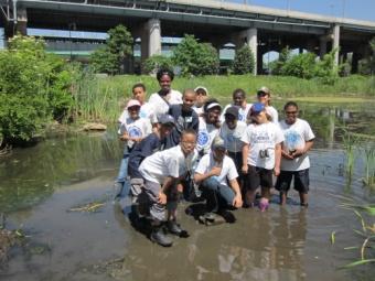 Course 2- Freshwater Wetland Exploration In 2008, the Randall s Island Park Alliance and NYC Department of Parks & Recreation restored 4 acres of freshwater emergent wetland habitat to the Island.