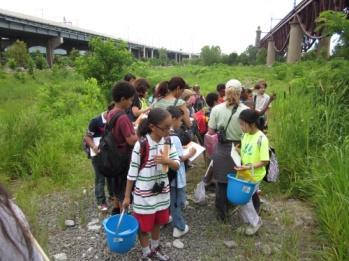 They will also learn about the animals and plants that live in this environment and their adaptations to survival.