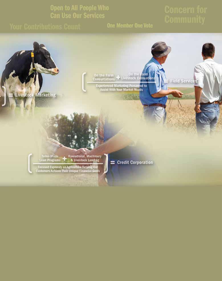 Livestock Marketing Equity has markets conveniently located and available to handle livestock buying and selling and are ready to assist you in your marketing needs.