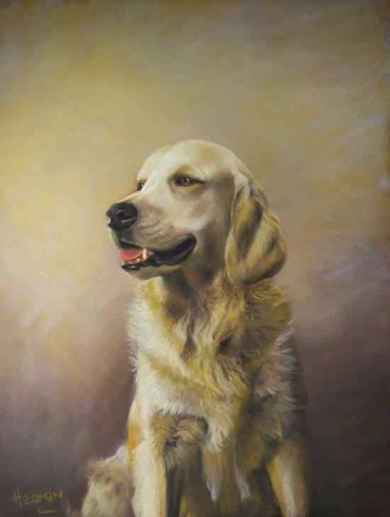 Bobbie 16 x 20 Golden Retriever A hint of complimentary colour balance gold and purple.