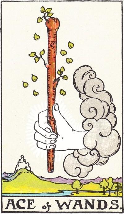 Near future: 7 of Swords Hope, knowledge that success is near, alternative plans, relying on other's support, inner
