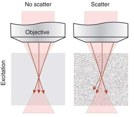 Multiphoton Imaging in scattering tissue and deep into tissue