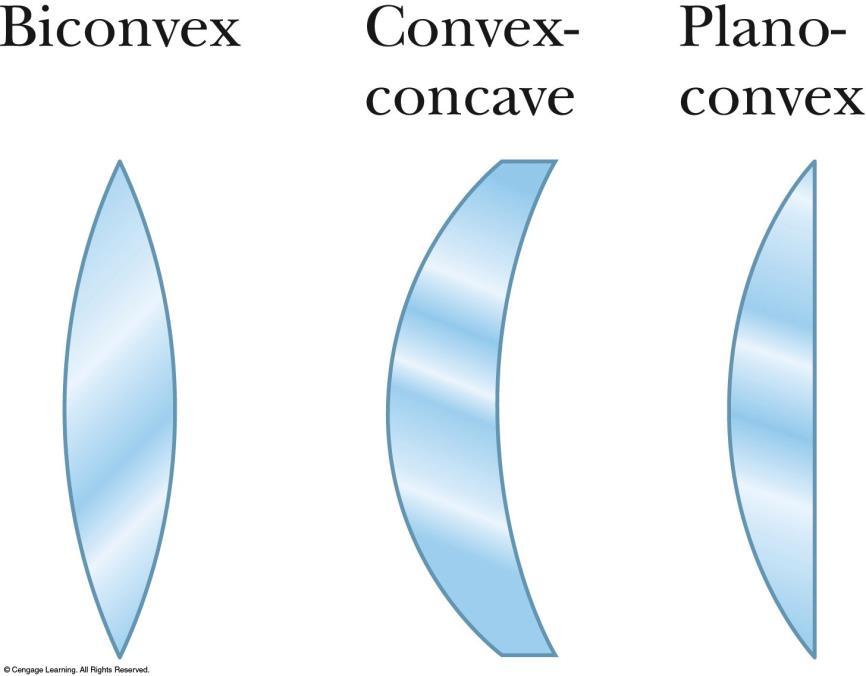 Thin Lens Shapes These are examples of converging lenses.