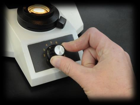 to be using the microscope to examine many slides.