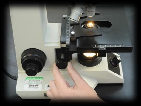 Tip: If you are using the microscope and the illumination is low (dark) check the