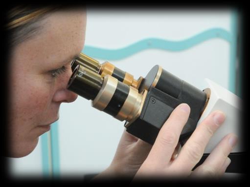 NB: The eyepieces can be adjusted by rotating them, which allows you to focus the image for your eyes.
