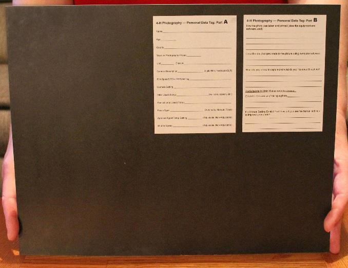 FROM FAIR BOOK: How to Prepare a Picture Display Picture Displays (Units I & II): Three 4 x 6 photos mounted on a single horizontal 11 x 14 black (preferred) or white poster or matting board.
