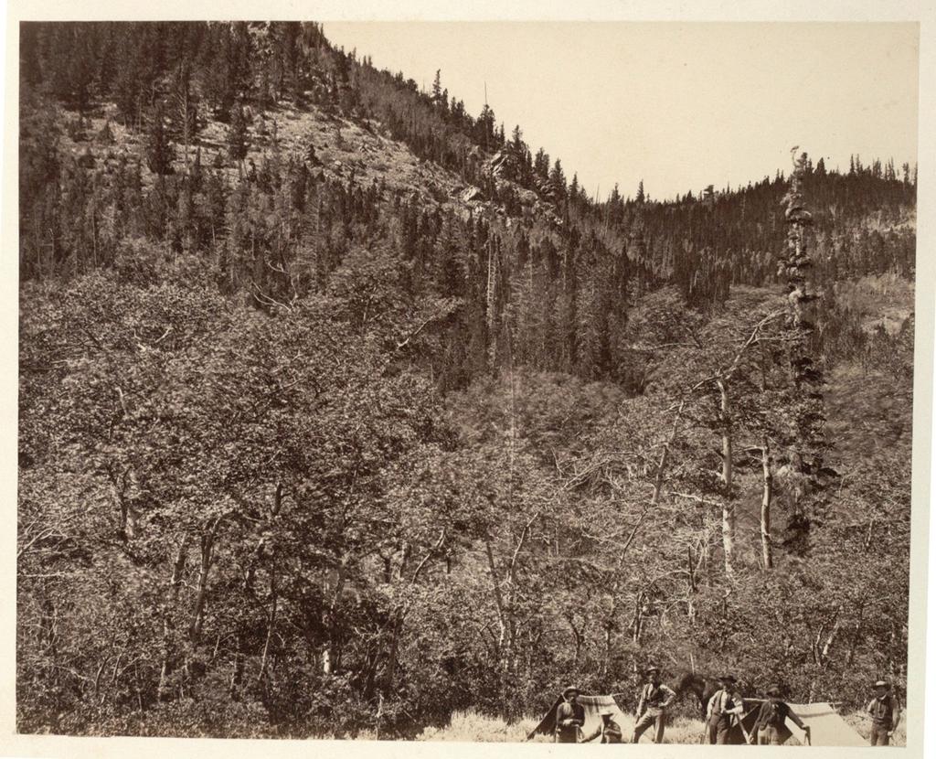4 Among the Timber, at Head of Little Laramie