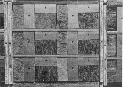 Williams et al SPECIES, GRAIN, AND ROUGHNESS EFFECTS ON WEATHERING OF WOOD 33 FIG. 1. Orientation of specimens on test fence.