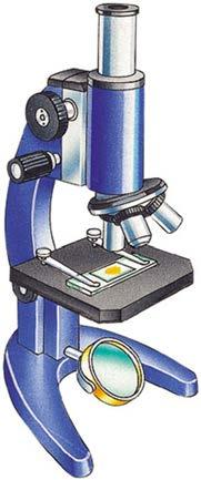 The microscopes we use at our school are called compound optical microscopes.