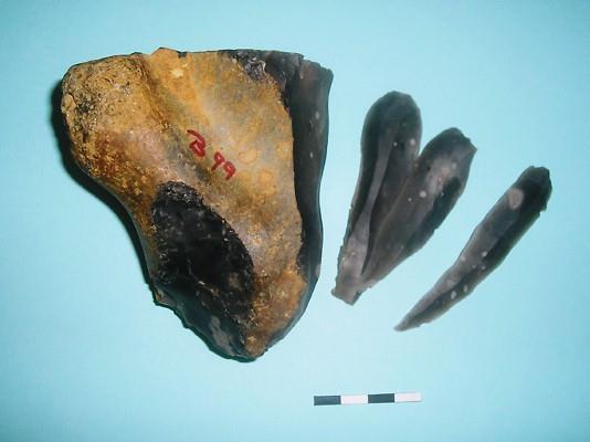 Flint Core, Fitting Blades and Flint working debris (Replica) Period: Mesolithic/Neolithic/Bronze Age Date: 7000 2000BC Use: Tool Making Site: N/A This is a modern example of a flint core.