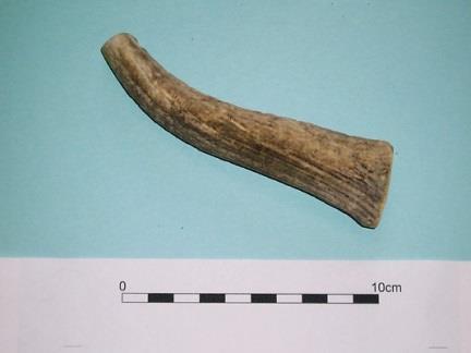 This is because antler is a soft material compared to a hard hammerstone. These hammers could also be used to strike blades from a flint core.