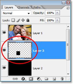 Make sure you have the new blank layer selected in the Layers palette, and then use the keyboard shortcut Alt+Backspace (Win) /Option+Delete (Mac) to fill the selection with the Foreground color,