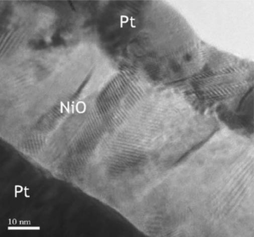 NiO Microstructure 200 nm Pt NiO Pt Columnar grains D.C. Kim, M.