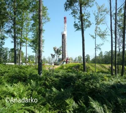 Eagle Ford Shale Mitsui Leasehold Acres: 35,000 Mitsui Shale Play: 1,700 wells Marcellus Shale Mitsui Leasehold Acres: 62,000 Mitsui Shale Play: 750 wells Building partnerships with values of trust,