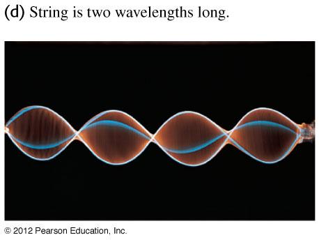 A driven string oscillating between two posts (fixed boundaries) exhibits a standing wave pattern with three