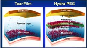 Hydra Peg Is a 90% water surface polymer that creates a mucinlike hydrophilic surface to the