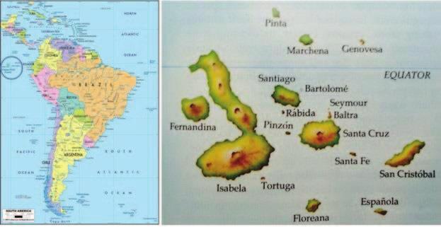 Figure 1. (a) The location of the Gálapagos Islands (circled, upper left), in relation to South America (b) The Gálapagos Islands shown in the circle magnified. (a) (b) Figure 2.