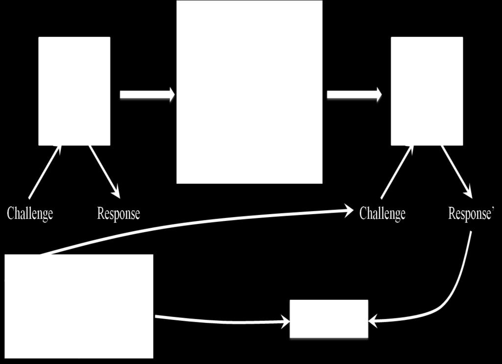 Figure 2.3. Challenge-Response Based PUF Protocol. 2.1.2 Key Generation for Cryptography PUFs are also used for key generation in certain key based cryptographic protocols.