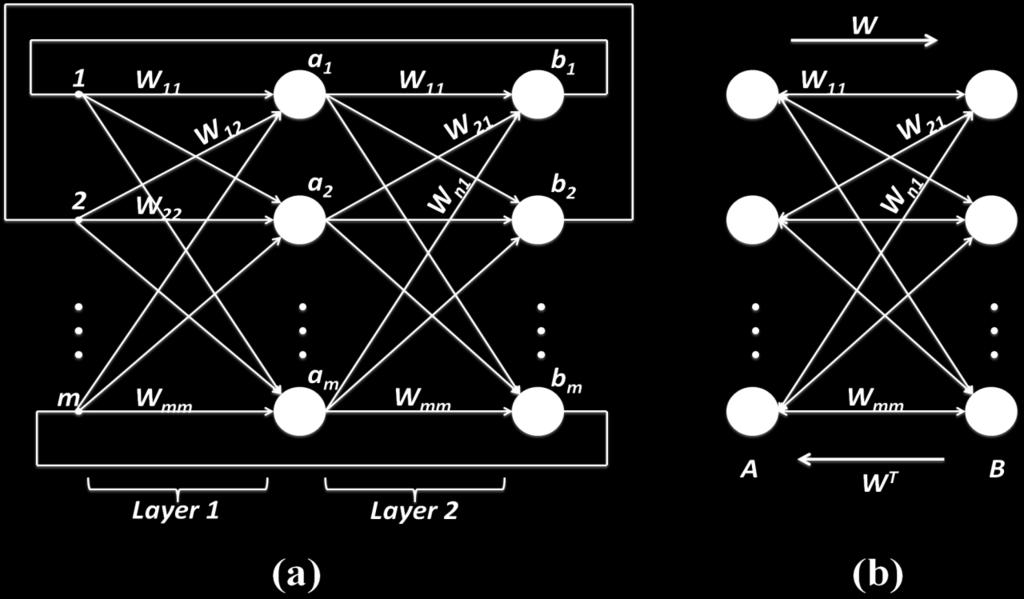 matrix W T as shown in Figure 3.4 (b) [81]. The error correcting code designed for the PUF differs from the conventional BAM in its update mode. Figure 3.4. (a) Generalized BAM Architecture.