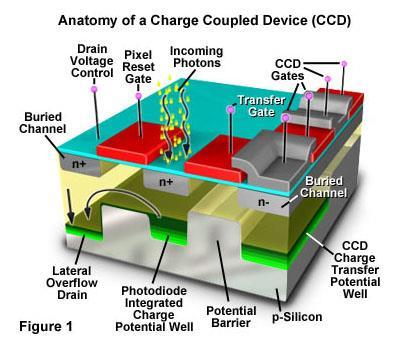 Charge-coupled devices (CCDs) are silicon-based integrated circuits consisting of a dense matrix of