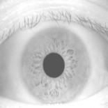 The iris is the most unique identifier on the human body. In recent years, iris recognition has become the major recognition technology since it is the most reliable form of biometrics.