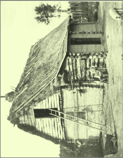 (Public Archives Canada) Figure 8 An early Ukrainian home near Gimli, ca. 1905.