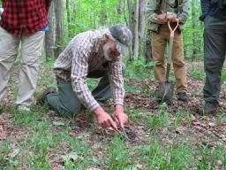 The mouse was one of several small mammals Nick had trapped over the past few days, in anticipation of this morning s gathering a special workshop offered by Vermont Family Forests (VFF) to the
