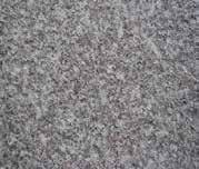GP-0220: Snow grey granite.