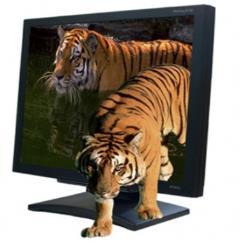 screen - 3D mode without glasses - Digital (DVI-D) and analog (VGA) inputs - 1280 x 1024 resolution -