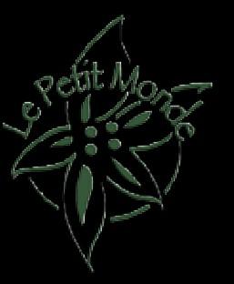 THE PARTNERS Le Petit Monde, Tours - France (lead) Le Petit Monde is a non-profit organization founded in 2001 whose objective is the enhancement of a territory by organizing cultural events.
