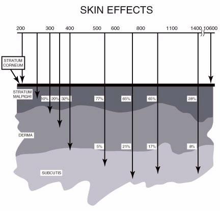 Absorption of radiation by the skin 100 bright Reflectance [%] 50 dark 0 300 500 700 1000 1400 1800