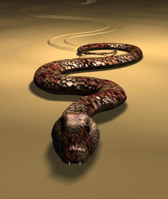 SERPENT/SNAKE/WORM Symbol of energy and pure force