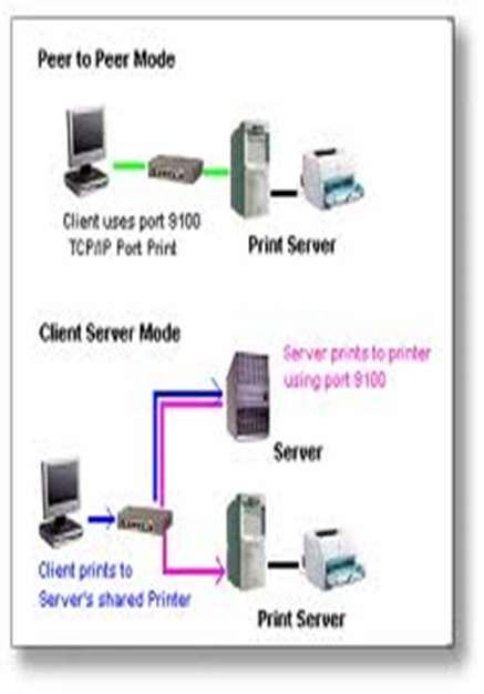 2. Tipuri de reţele de calculatoare 3. Numar de utilizatori O retea bazata pe server poate avea mii de utilizatori.