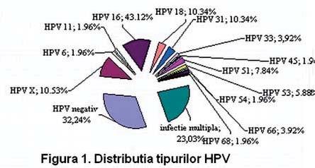 Intducere Deşi în 1991, la un workshop al IARC s-a concluzionat că datele de epidemiologie moleculară indică în mod neechivoc faptul că virusurile papiloma umane (HPV) constituie agentul etiologic al