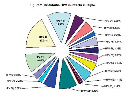 Până în prezent au fost identificate circa 100 de tipuri de HPV, 40 dintre acestea infectând tractul genital, dar riscurile asociate cu diferitele genotipuri virale nu au fost încă bine evaluate [1].